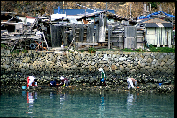 コピー - 200810311508_069.jpg