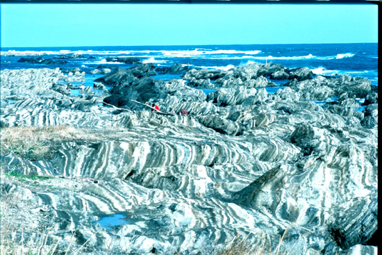 コピー ~ 200810311543_026.jpg