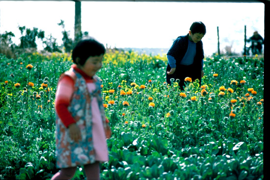 コピー ~ 200810311543_031.jpg