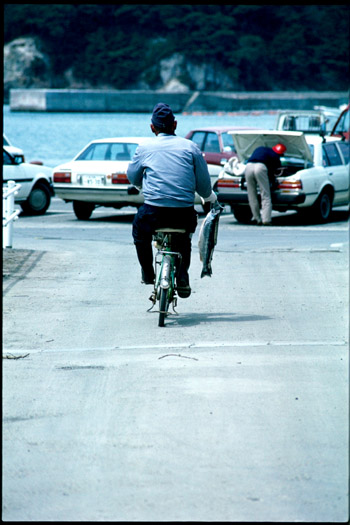 コピー ~ 200810311543_037.jpg