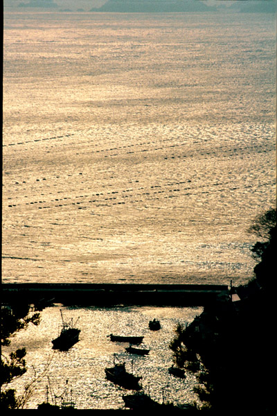 コピー ~ 200810311543_043.jpg