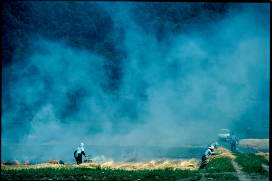 コピー - 200810311549_056.jpg