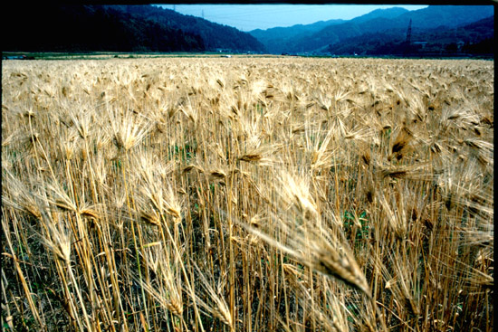 コピー - 200810311549_057.jpg