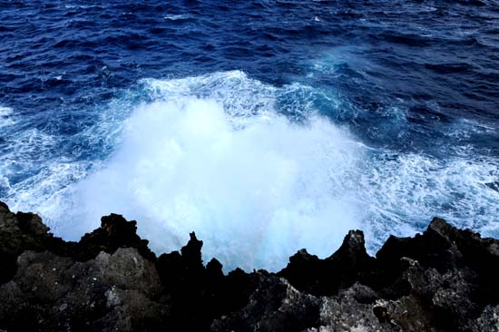 コピー ～ 08.12沖縄 180.jpg