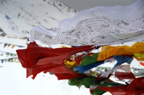 コピー - _DSC0558-001.JPG