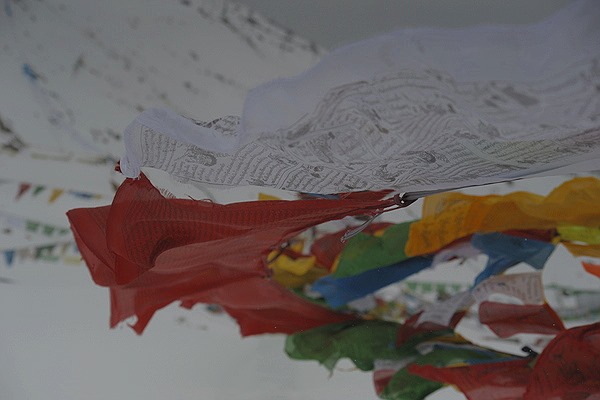 _DSC0558 - コピー-001.JPG