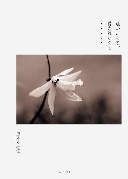 tobira_2 (1)-001.jpg