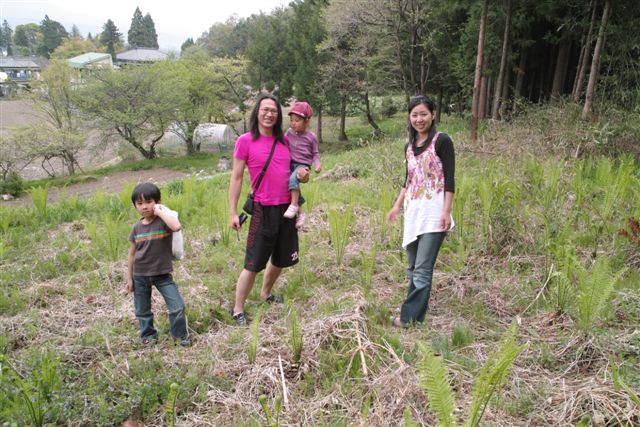 実家近くの山麓で、こごみ採りをする塩崎君一家の風景