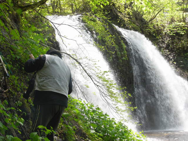 藤の滝を取材中。太宰は「滝壺は三方が高い絶壁で、西側の一面だけが狭く開いて、そこから谷川が岩を噛みつつ流れ出ていた。」（魚服記より）と書いている。(photo:K編集者) 