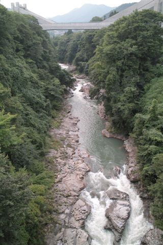 いま、注目となっている八ッ場ダム建設地となっている吾妻川の渓谷。この場所の少し上流にダムサイトは、建設される予定。下流である湖底に沈まない僕の実家などがある町も大変な迷惑だ。写真のように美しかった景観が巨大なコンクリートの標柱群によって破壊されている。僕が高校生の時に、みんなで建設計画阻止の運動をしたのだが、あれから４０年以上の歳月が流れている・・・・・。