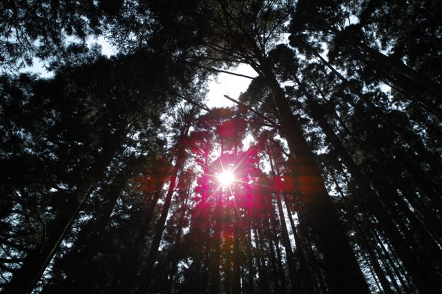 帰京の日、地元の写真愛好家たちが一緒に撮影に行きたいというので案内をしてもらうことにした。今回巡ったのは利根、沼田地域。上杉謙信らが何度も行き来した三国街道を先ず歩いてみた。三国峠のすぐ下にある法師温泉にも久しぶりに行ってみた。父が元気な頃、母と一緒にきた懐かしい思い出の地でもある。