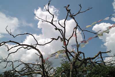 ネパール・カトマンドゥから見上げた空
