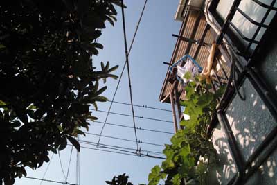 自宅の裏手から眺めた空