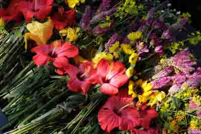 コピー ～ 08.12沖縄 133