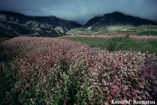 ネパール · ムスタン  no.0001