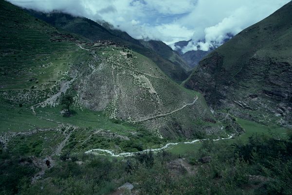 ネパール・ドルパno.0004