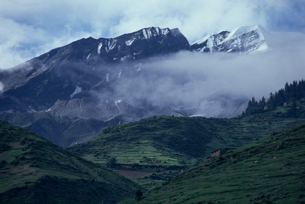 ネパール・ドルパno.0005