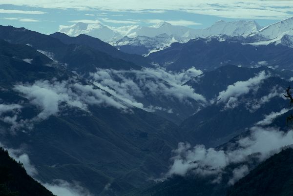 ネパール・ドルパno.0006