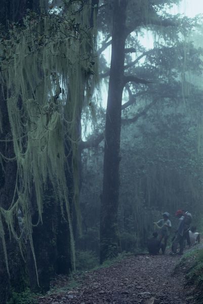 ネパール・ドルパno.0009