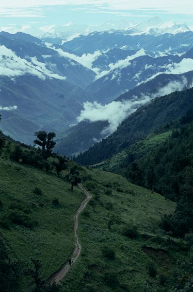 ネパール・ドルパno.0010