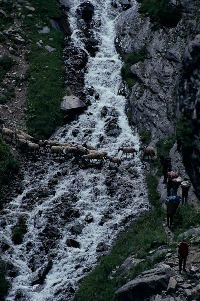 ネパール・ドルパno.0014