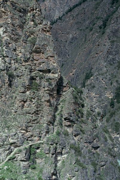 ネパール・ドルパno.0015