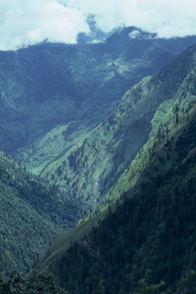 ネパール・ドルパno.0017