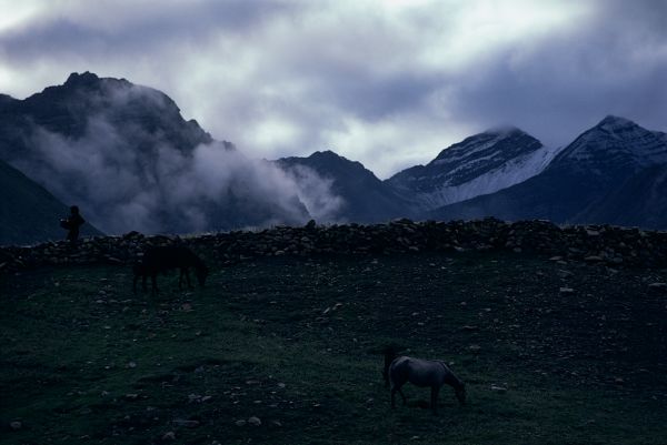 ネパール・ドルパno.0019