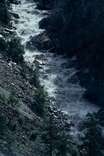 ネパール・ドルパno.0020