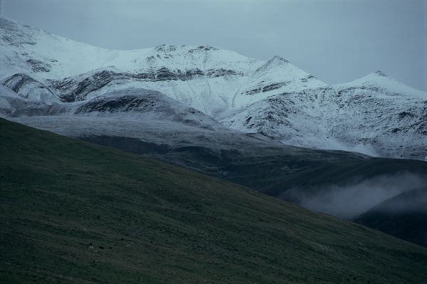 ネパール・ドルパno.0021