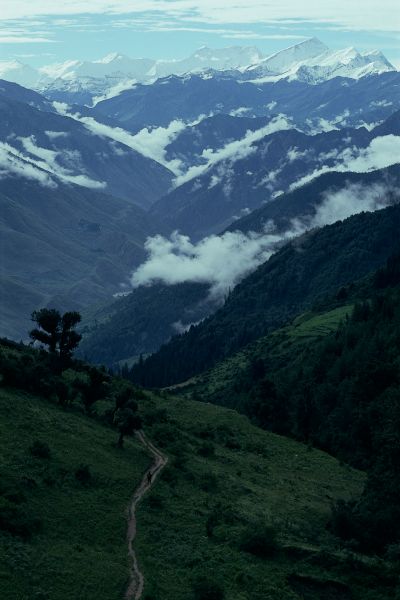 ネパール・ドルパno.0022