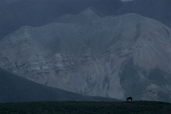 ネパール・ドルパno.0026