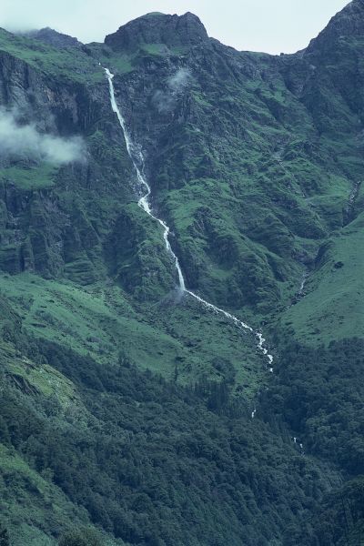 ネパール・ドルパno.0027