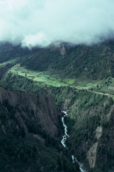 ネパール・ドルパno.0029