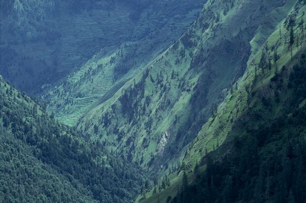 ネパール・ドルパno.0030