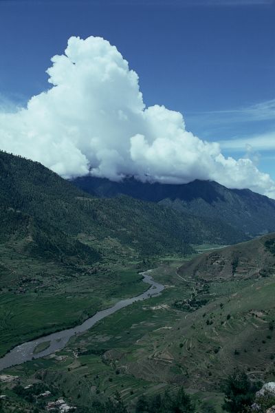 ネパール・ジュムラno.0001