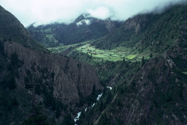 ネパール・ドルパno.0031