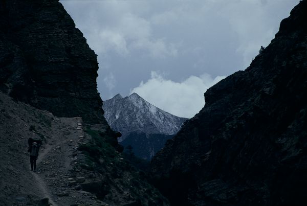 ネパール・ドルパno.0032