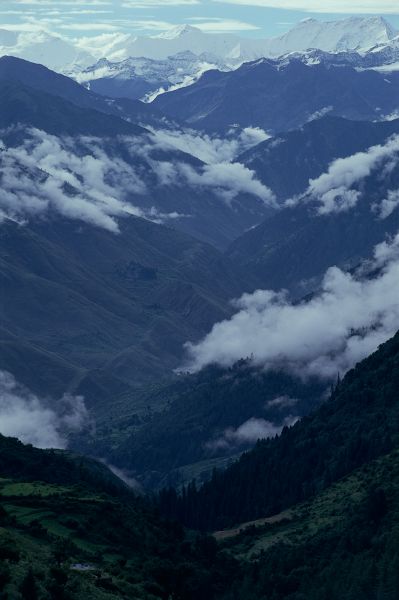 ネパール・ドルパno.0034