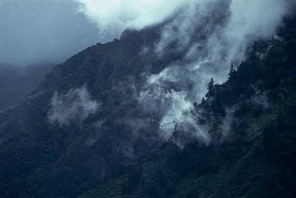 ネパール・ドルパno.0036