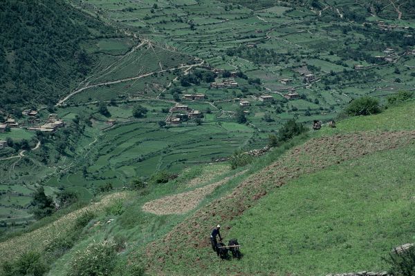 ネパール・ジュムラno.0002