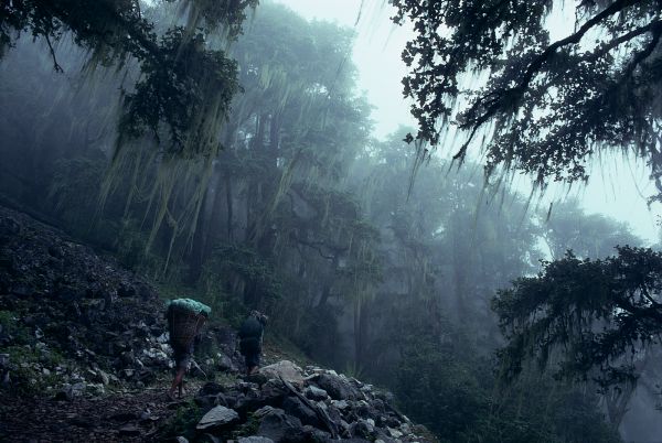 ネパール・ドルパno.0051