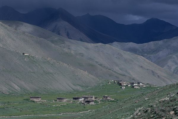 ネパール・ドルパno.0075