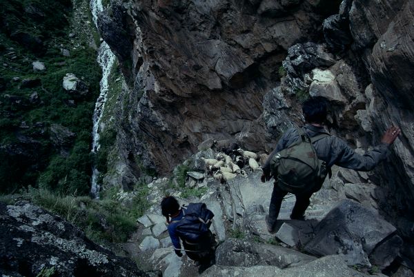 ネパール・ドルパno.0078