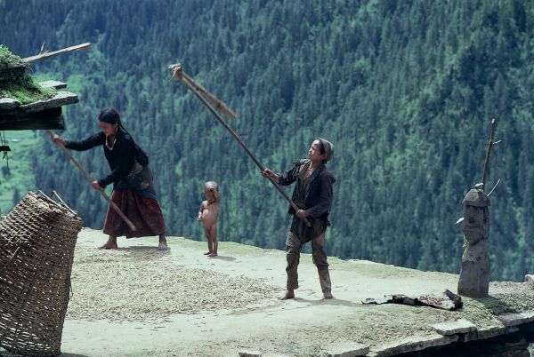 ネパール・ドルパno.0084