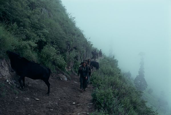 ネパール・ドルパno.0088