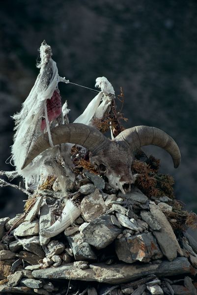 ネパール・ドルパno.0090