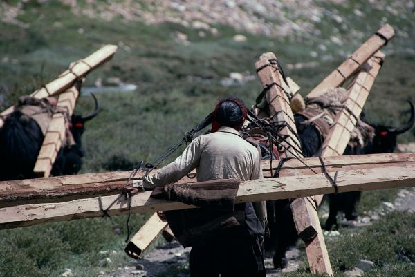 ネパール・ドルパno.0095