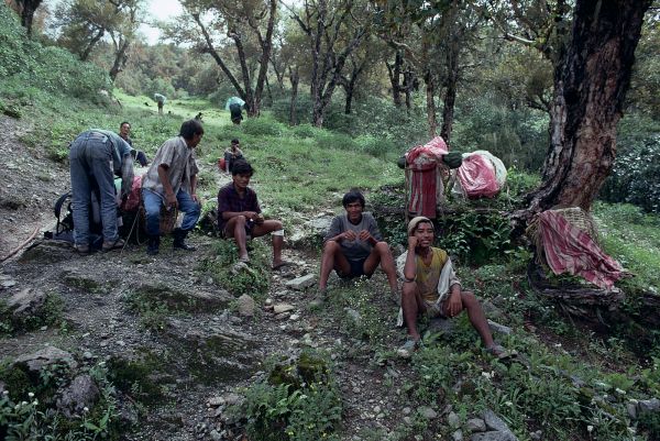 ネパール・ドルパno.0099