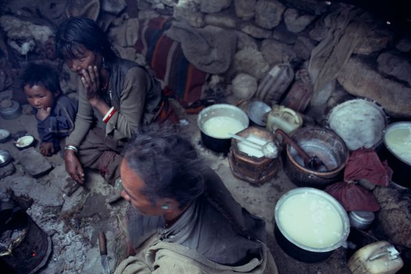 ネパール・ドルパno.0102